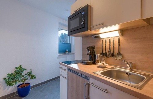 Scheffau am Wilden Kaiser Bed & Breakfast | Studio apartment with kitchen and private bathroom - Blaiken Appartements