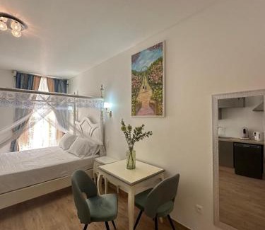 Centre Historique Apartment | Studio à Baldaquin du Cloitre
