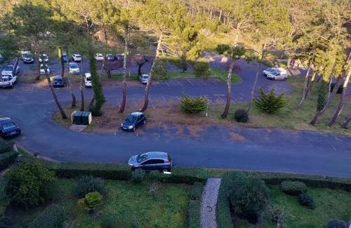 Le Penon Apartment | studio à l'océan au dessus des pins (plage & commerces à pied)