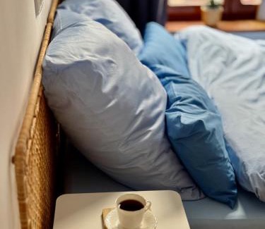 Leipziger Vorstadt Bed & Breakfast | Studio 01097