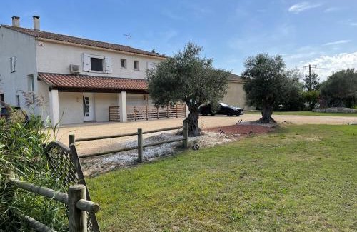 Saintes-Maries-de-la-Mer House | Studio 40m2 avec terrasse LE MAS DE LAURIANE