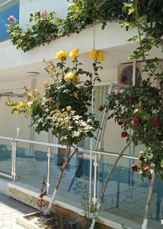 Nessebar Apartment | Studio 41