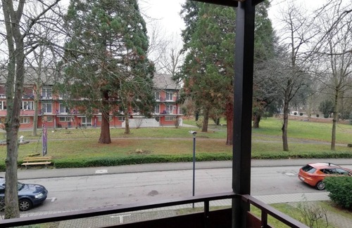 Bad Krozingen Apartment | Studio Apartment '1 Zimmer Appartement 21' with Balcony and Wi-Fi