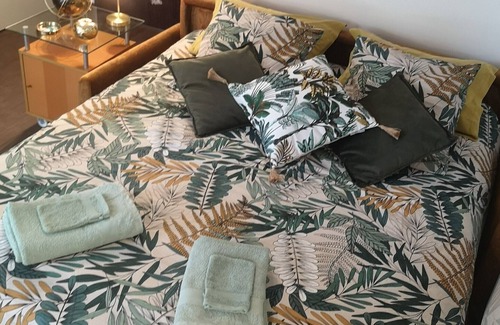 Reims City Centre Apartment | Studio Apartment 'Le Palace Cathédrale De Reims' with Garden, Terrace & Wi-Fi
