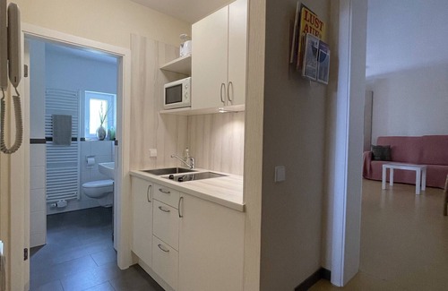 Old Town Apartment | Studio Apartment 'Nr 1 Haus Stiegeler Adelhauser' with Private Terrace and Wi-Fi