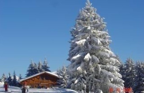 Morillon Apartment | Studio Apartment With Balcony Overlooking The Telecabine, Ski back 2 the complex