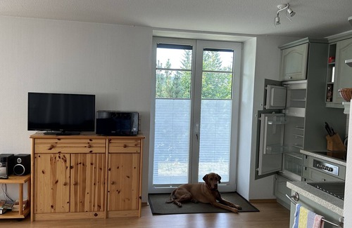 Oberhof Apartment | Studio Apartment 'Wohnung 1' with Private Terrace and Wi-Fi