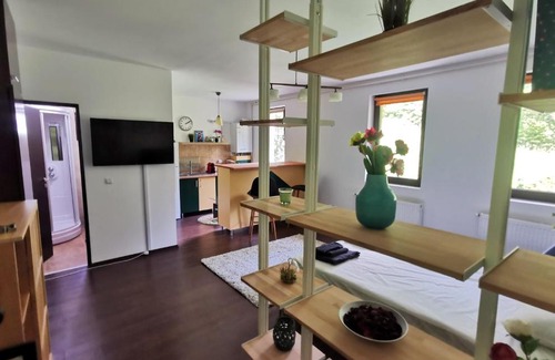 Azuga Apartment | Studio Azuga