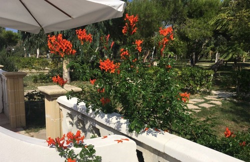 Chiesiola Apartment | Studio 'Baia Falcone-Comfort Studio 203' with sea view, Wi-Fi and air conditioning