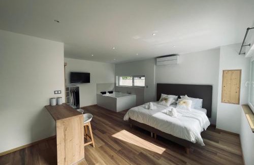 Wintzenheim Apartment | Studio Balnéothérapie