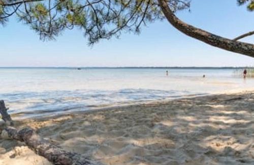 Biscarrosse Plage Apartment | Studio Cabine à Biscarrosse-Plage, Proche Plages et Commerces, Balcon exposé Sud - FR-1-521-41