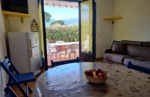 Argeles Plage Apartment | Studio cabine 4 pers. RDC, terrasse sud, 300m plage et commerces - FR-1-388-205