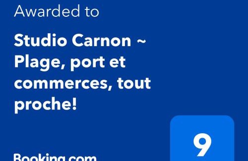 Carnon-Plage Apartment | Studio Carnon ~ Plage, port et commerces, tout proche!