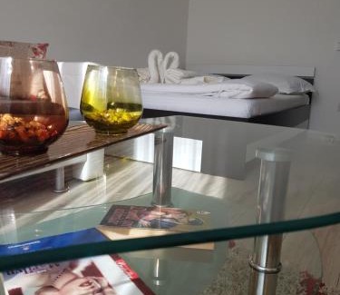 Piatra Neamt Apartment | Studio Central