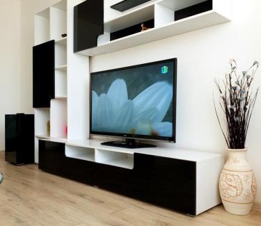Piatra Neamt Apartment | Studio Central