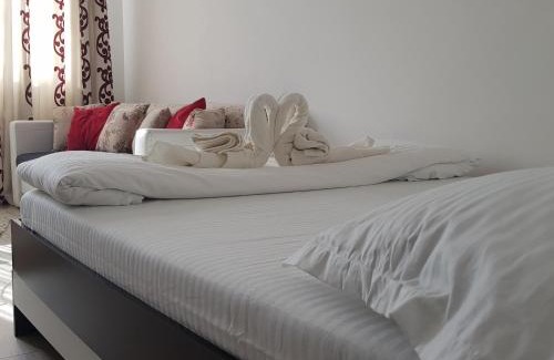 Piatra Neamt Apartment | Studio Central