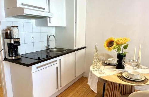 Anatole France Danton Apartment | Studio Centre Ville COTY