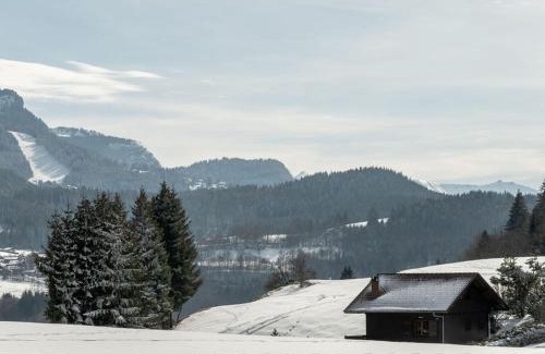 Les Carroz-d'Araches Apartment | Studio chaleureux 4 pers, centre village, proche pistes et commerces, balcon sud-ouest - FR-1-572-105