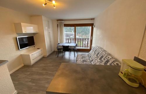 Chatel Apartment | Studio charmant proche centre, télécabine et centre aquatique ! Multi Pass été 2024 inclus ! - FR-1-693-60
