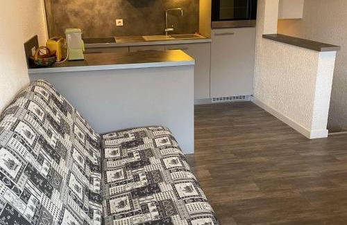 Chatel Apartment | Studio charmant proche centre, télécabine et centre aquatique ! Multi Pass été 2024 inclus ! - FR-1-693-60