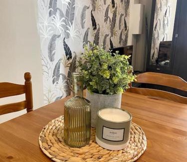 Bourg-en-Bresse Apartment | Studio climatisé proche gare