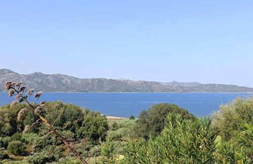 Patrimonio Apartment | studio cosy vue mer