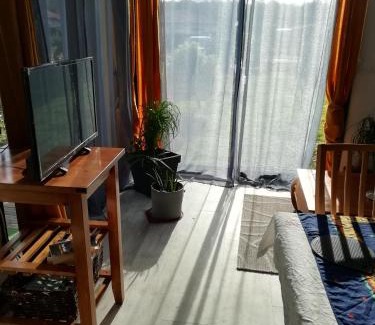 Saint-Julien-en-Born Apartment | Studio dans les pins