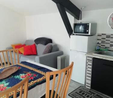 Saint-Julien-en-Born Apartment | Studio dans les pins