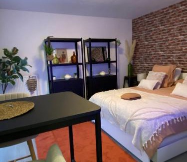 Wissembourg Apartment | Studio douillet Tout Confort 3 - Wifi - Parking