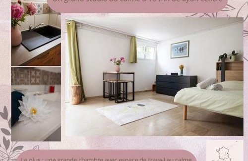 Corbas Apartment | Studio frais & cosy Lyon - Eurexpo - LDLC Arena - Groupama Stadium - Eurexpo - 15mn Lyon