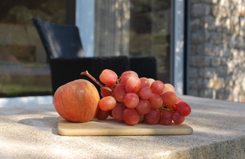 Pylos-Nestoras House | Studio geranium with terrace and view of the land planted with olive trees.
