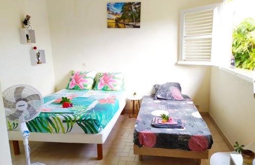 Ducos Apartment | Studio Goyave
