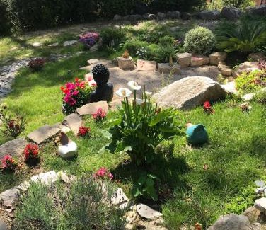 Saint-Clement-de-Riviere Apartment | Studio in nature 5 minutes from Montpellier North