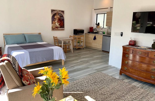Tucson Apartment | Studio in the Saguaro Forest