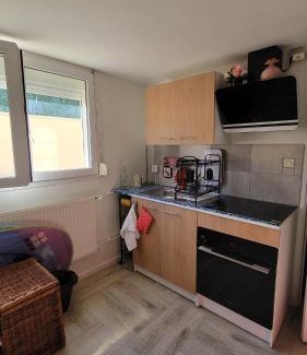 Saint-Cyr-en-Val Apartment | Studio indépendant tout équipé chez l'habitant