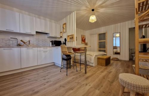 Saint-Fons Apartment | Studio Intime & Chaleureux - Terrasse privative - Lyon Sud