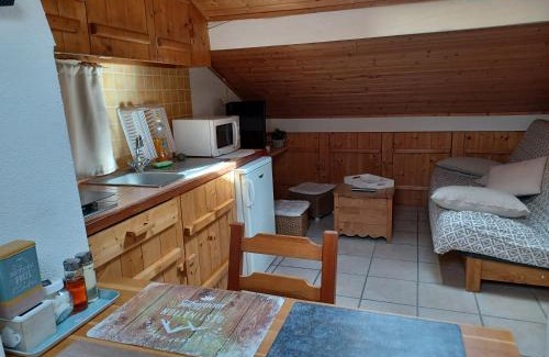 La Maurienne Apartment | STUDIO LE MONT-CENIS, GARAGE pour motards et cyclistes, gare a 800m