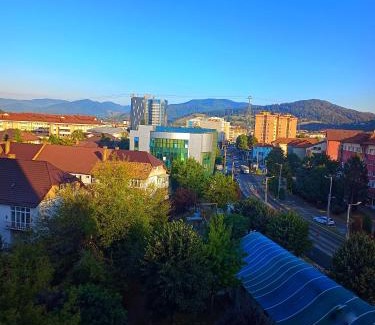 Piatra Neamt Apartment | Studio Miruna