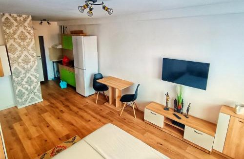 Piatra Neamt Apartment | Studio Miruna