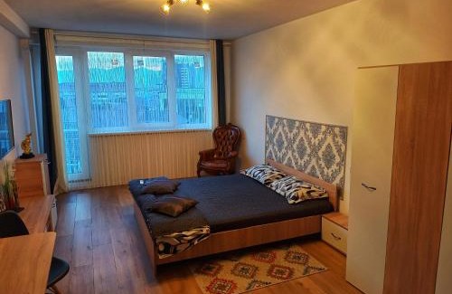 Piatra Neamt Apartment | Studio Miruna