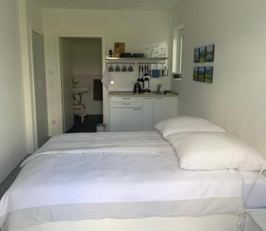 Grosswell Apartment | Studio mit Alpenblick