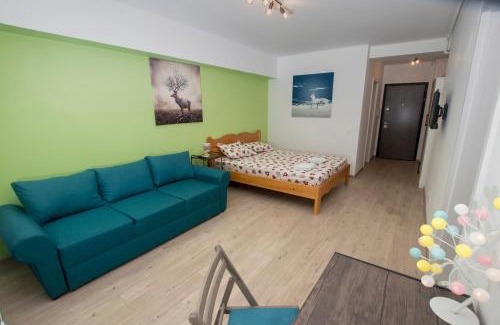 Drumul Taberei Apartment | Studio Moghioros rezidence 2