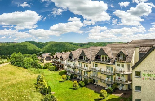 Gemund Apartment | Studio Narzissenwiese (1-2 persons) - Gemünder Ferienpark Salzberg