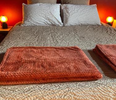 Saint-Omer House | Studio Sous les Toits