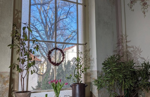 Stralsund Apartment | Studio - Villa Eisenrose