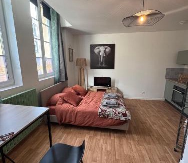 Mayenne Apartment | Studio Voyage - Proche centre ville