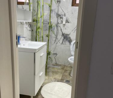 Suceava Apartment | Studio1