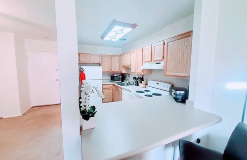 Elkins Park Apartment | Stunning 1-bedroom condo available for both short and long-term