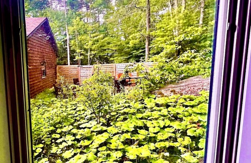 Woodstock House | Stunning 2 bedroom on gated property — 10 minute walk to downtown Woodstock!