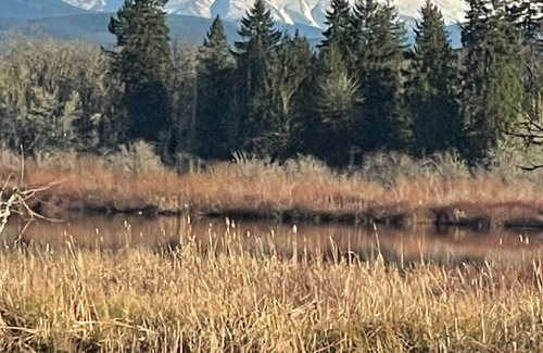 Silver Lake House | Stunning lakefront w-dock Silver lake to Mt St Helens No Pets-No Exceptions!
